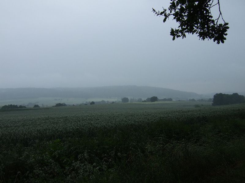2011- 145.jpg